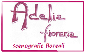 Fiorista Torreglia