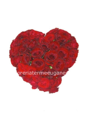 Cuore di rose small (20 cm)